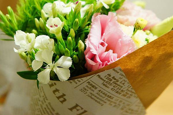 nEO_IMG_DSC04147.jpg nEO_IMG_DSC04147.jpg