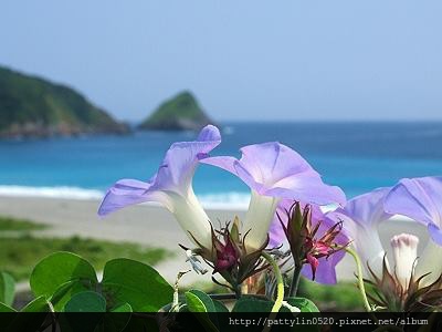 1002522_685708928108834_510481449_n