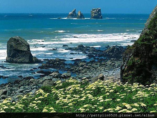 1496626_712997085380018_237984535_n 1496626_712997085380018_237984535_n