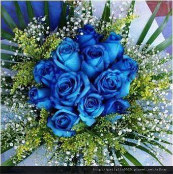 1476291_712992412047152_304373543_n 1476291_712992412047152_304373543_n