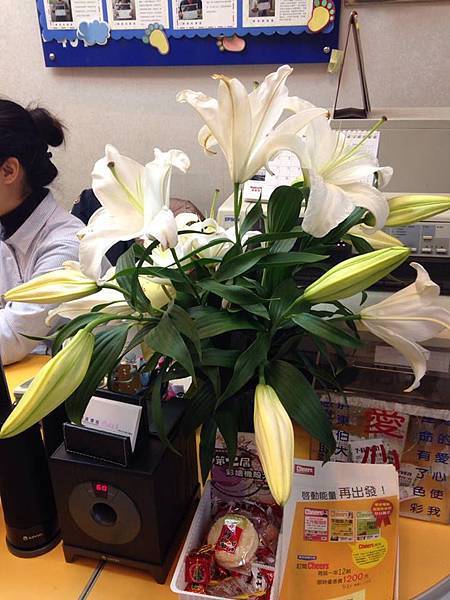 撲鼻而來的花香味