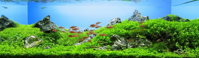圖檔