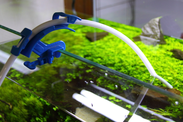 換水中2 換水中2