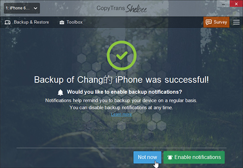 shelbee-06 shelbee-06