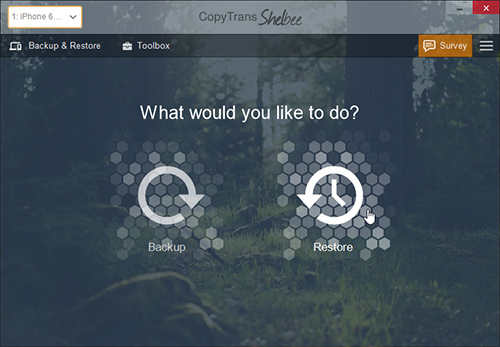 shelbee-07 shelbee-07