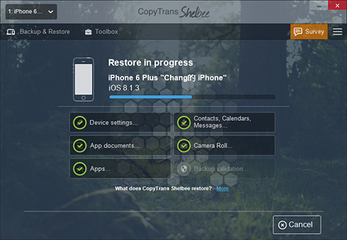 shelbee-09 shelbee-09