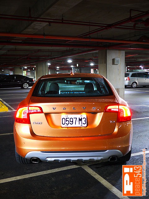P1020157 P1020157