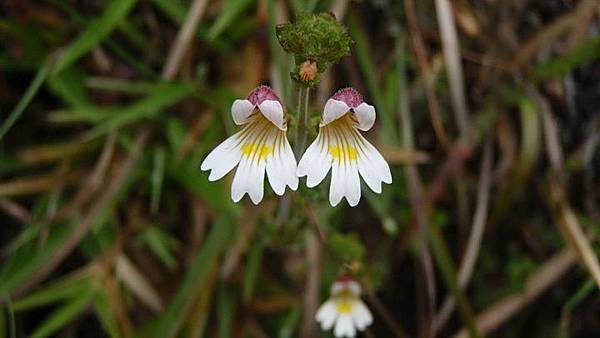 37785_1542582852818_1482386290_31396884_72108_n.jpg 37785_1542582852818_1482386290_31396884_72108_n.jpg