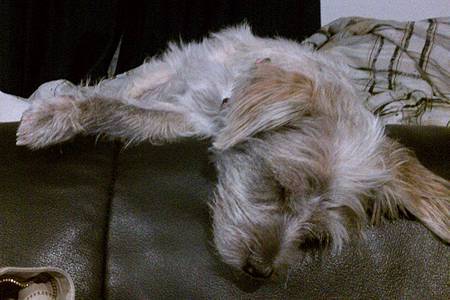 sleeping (funny).jpg