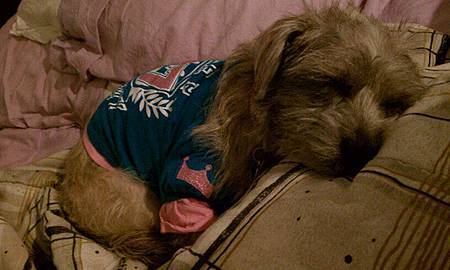 sleeping (funny) 2.jpg