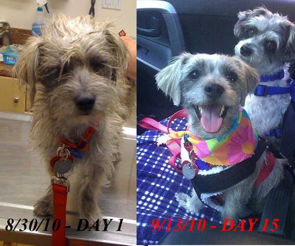 Chloe transforms in 15 days