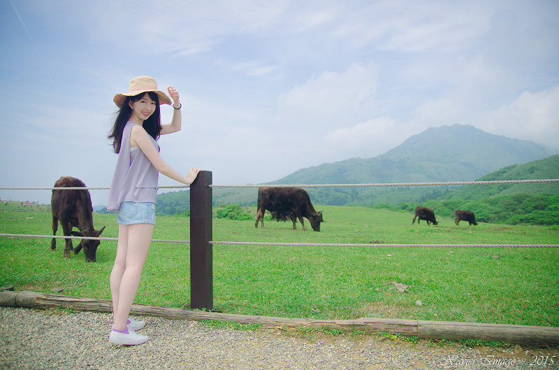 陽明山擎天崗_珮慈 3 陽明山擎天崗_珮慈 3