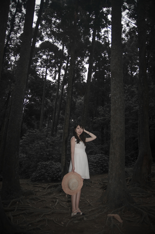 陽明山黑森林_珮慈 陽明山黑森林_珮慈