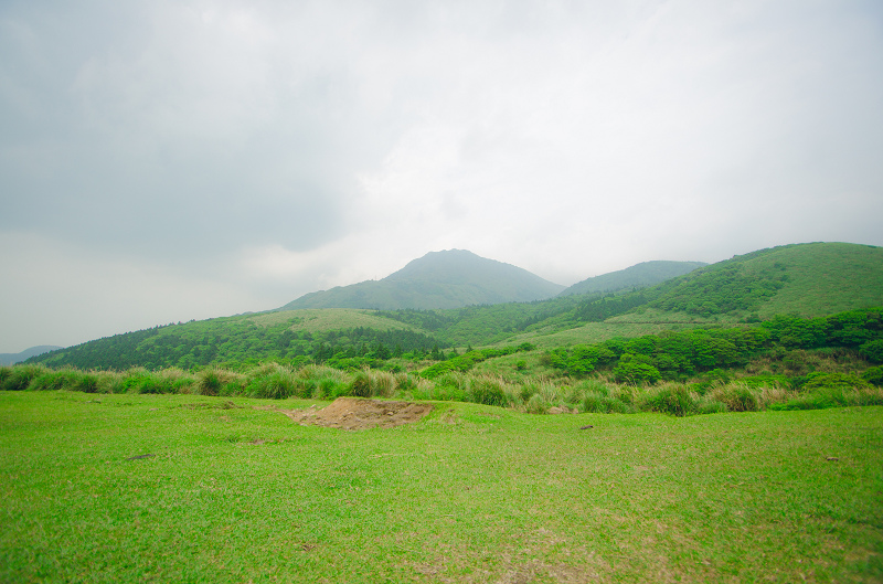 陽明山擎天崗草原 陽明山擎天崗草原