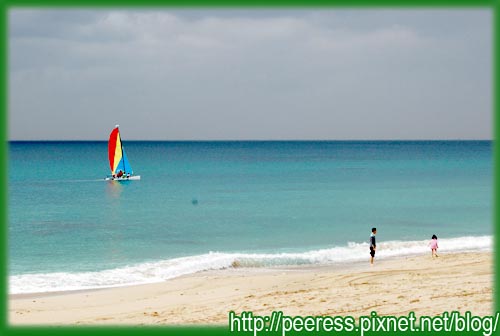 DSC_0371.JPG DSC_0371.JPG