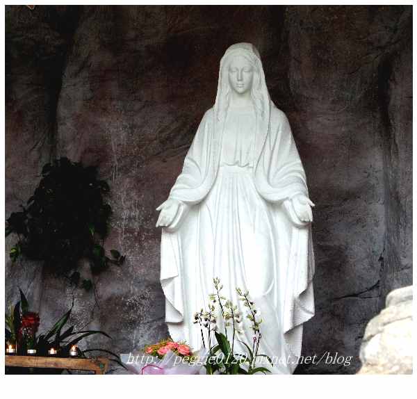 DSC03480.jpg DSC03480.jpg