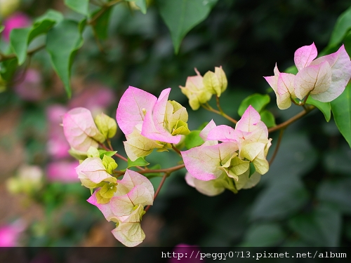 R1225351.jpg