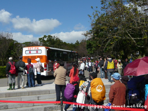 P1040682.JPG P1040682.JPG