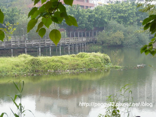 P1040781.JPG P1040781.JPG