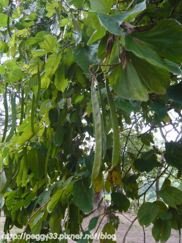 P1040790.JPG P1040790.JPG