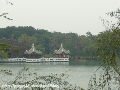 P1040794.JPG P1040794.JPG