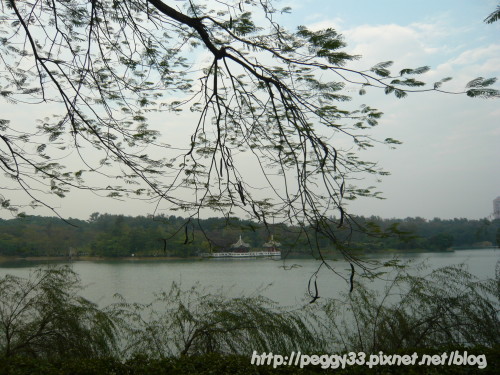 P1040795.JPG P1040795.JPG