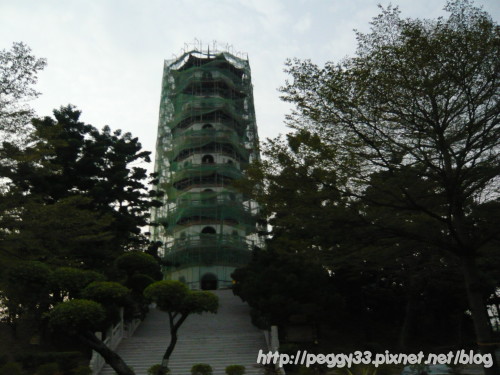 P1040841.JPG P1040841.JPG