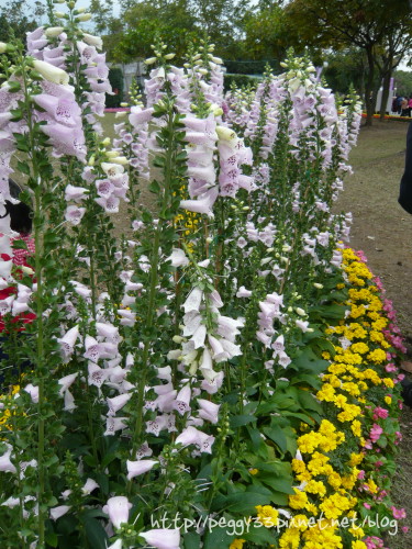 P1060196.JPG P1060196.JPG