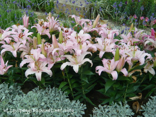 P1060209.JPG P1060209.JPG