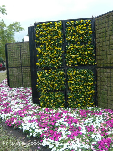 P1060212.JPG P1060212.JPG