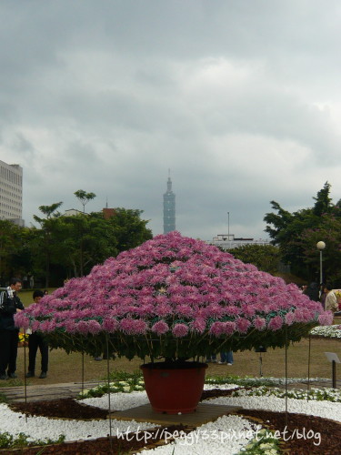 P1060230.JPG P1060230.JPG