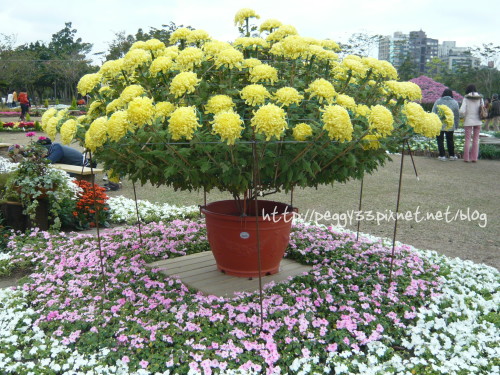 P1060178.jpg P1060178.jpg