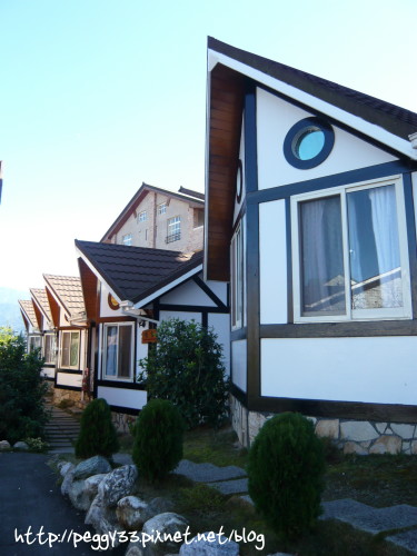 P1060241.JPG P1060241.JPG