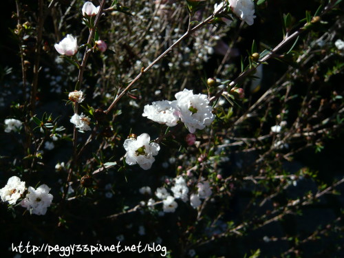 P1060256.JPG P1060256.JPG