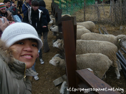 P1060373.JPG P1060373.JPG