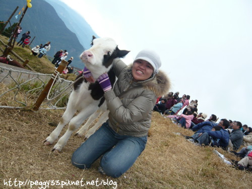 P1060415.JPG P1060415.JPG