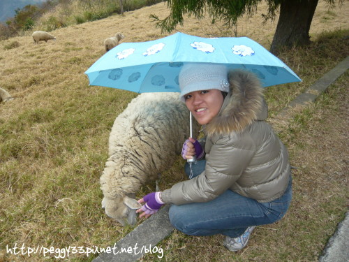 P1060422.JPG P1060422.JPG