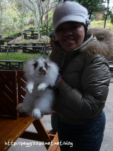 P1060428.JPG P1060428.JPG