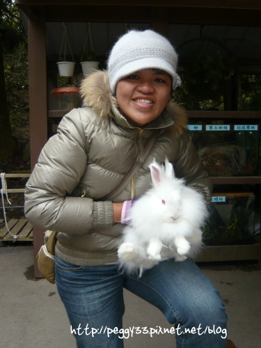 P1060430.JPG P1060430.JPG