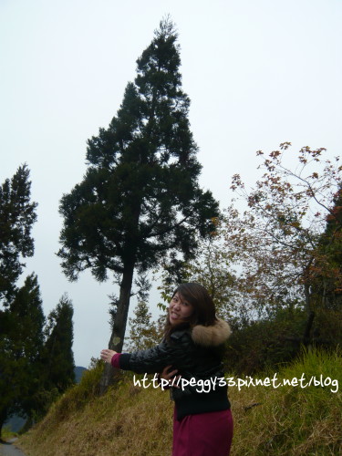 P1060440.JPG P1060440.JPG