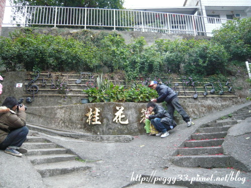 P1060511.JPG P1060511.JPG