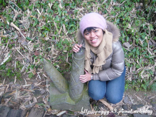 P1060584.JPG P1060584.JPG