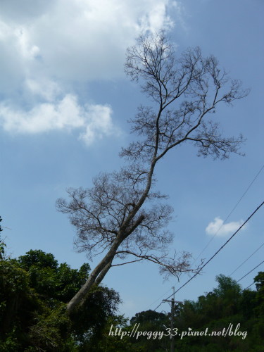 P1070719.JPG P1070719.JPG