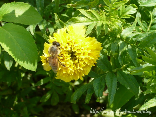 P1070718.JPG P1070718.JPG