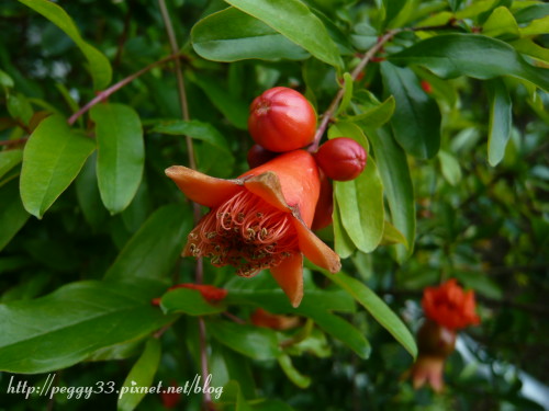 P1070720.JPG P1070720.JPG