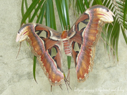 P1070761.JPG P1070761.JPG