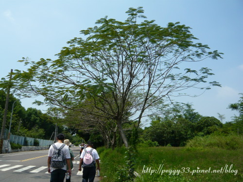 P1070777.JPG P1070777.JPG