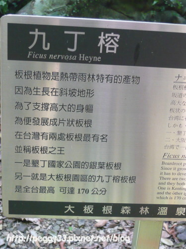 P1070923.JPG P1070923.JPG