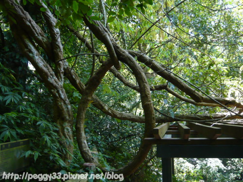 P1070930.JPG P1070930.JPG