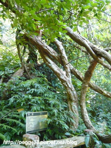 P1070931.JPG P1070931.JPG